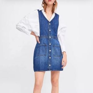 Zara Button Down Dress